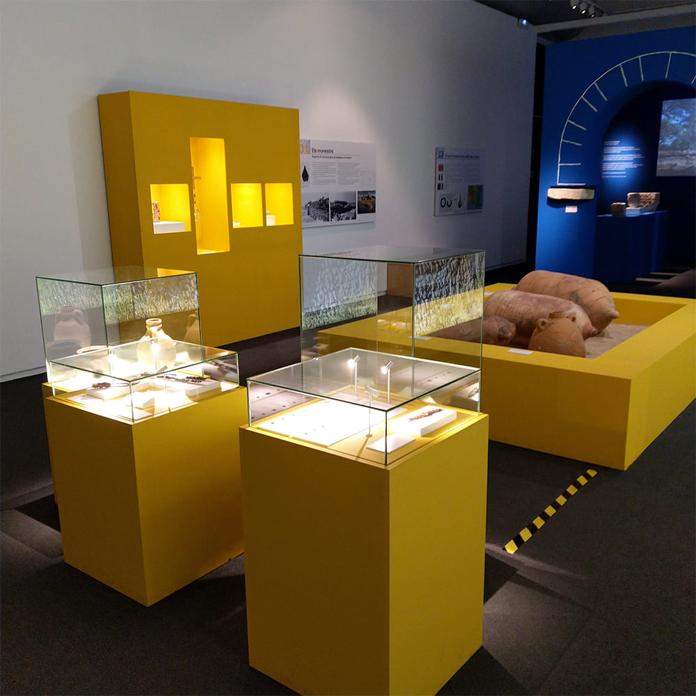 museo prehistoria de valencia